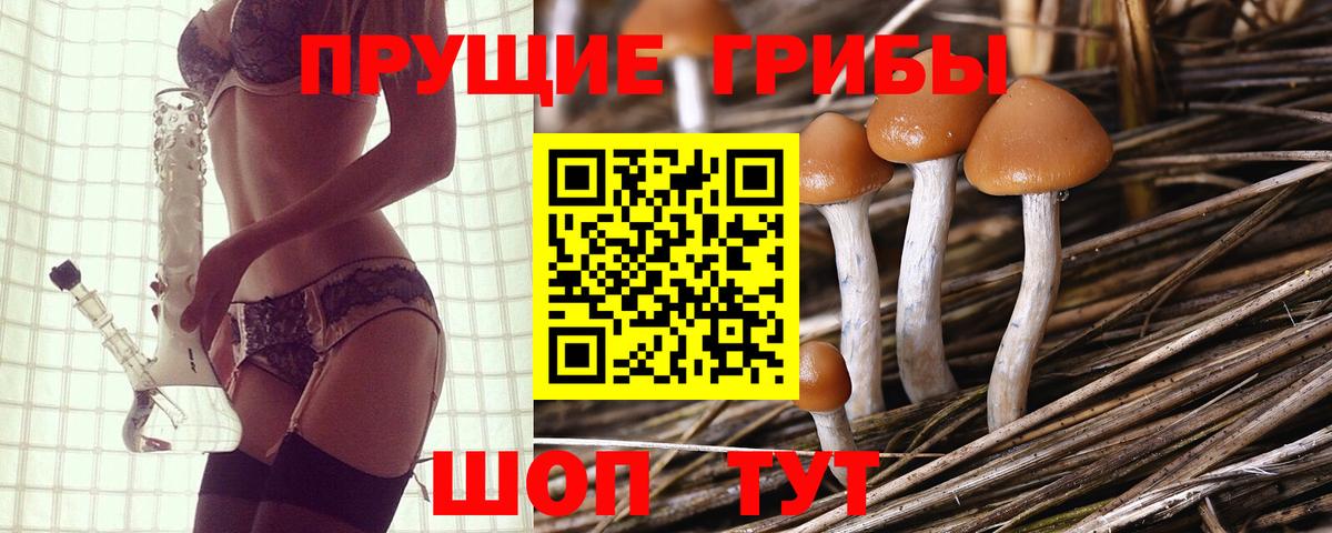 как найти закладки  Псилоцибиновые грибы Cubensis  Вход с VPN  Крымск 